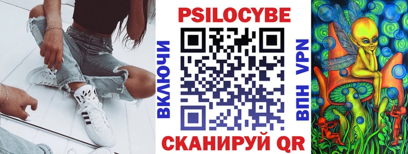 Псилоцибиновые грибы мухоморы  купить наркотик  Починок 